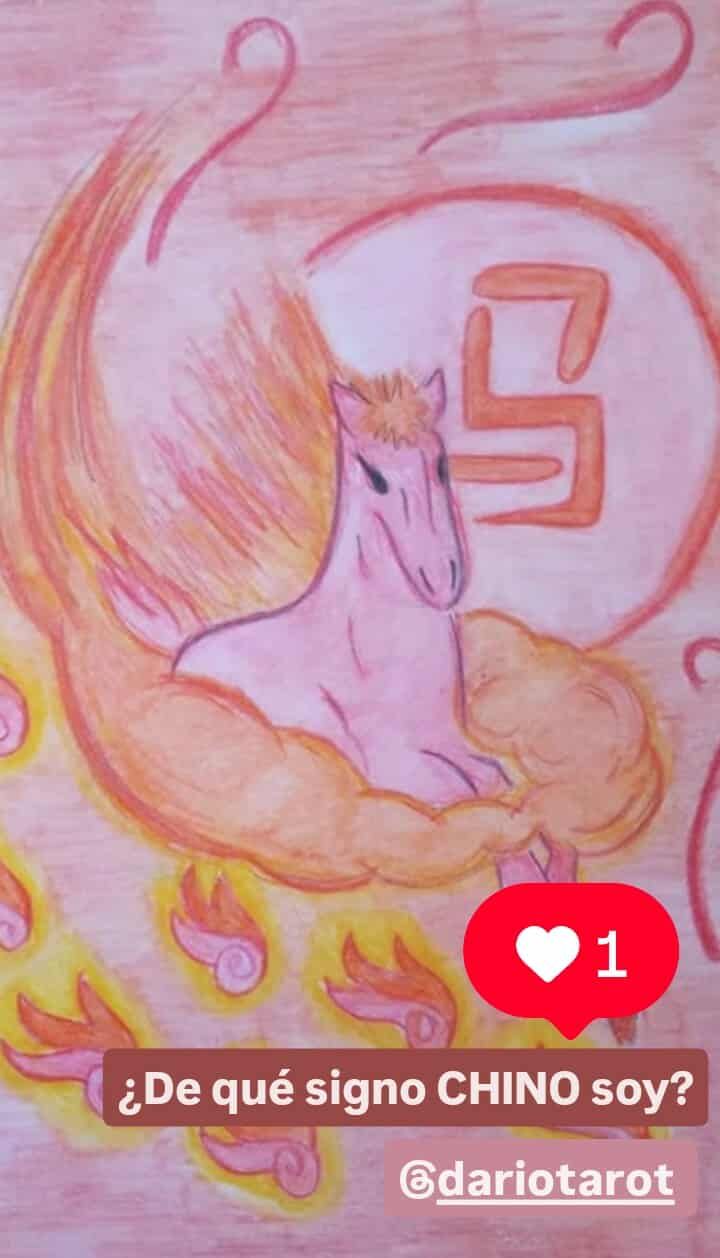 ¿De qué signo CHINO soy?