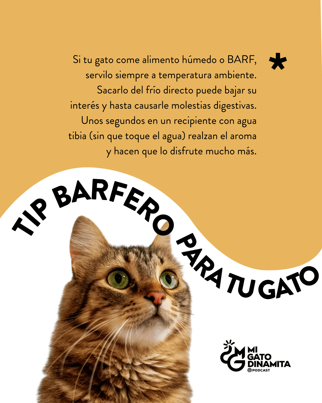 Tip barfero