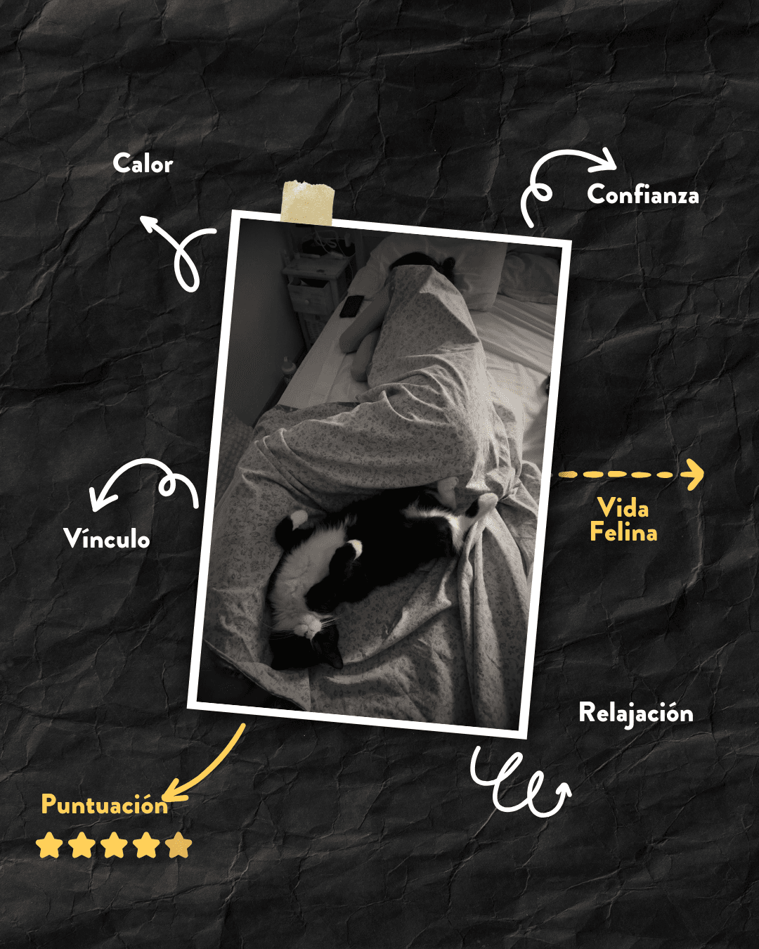 ¿Por qué duerme así?
