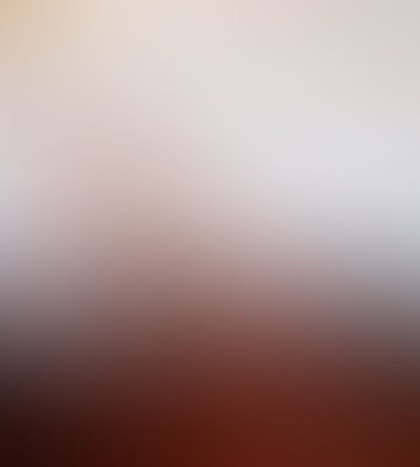 Desnudo con fondo blanco 3