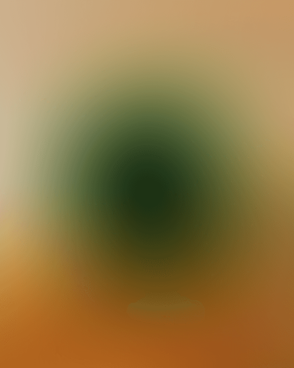 ☕✨ INSTALACION COREL DRAW EXCLUSIVO PARA USUARIOS VIP ✨☕