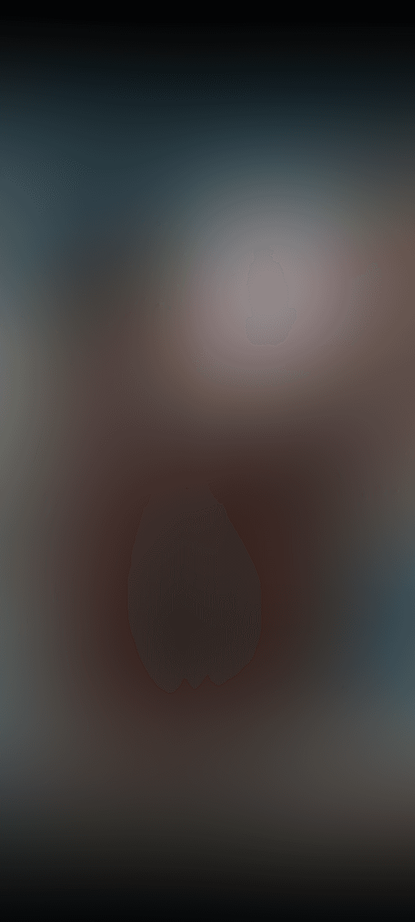📷