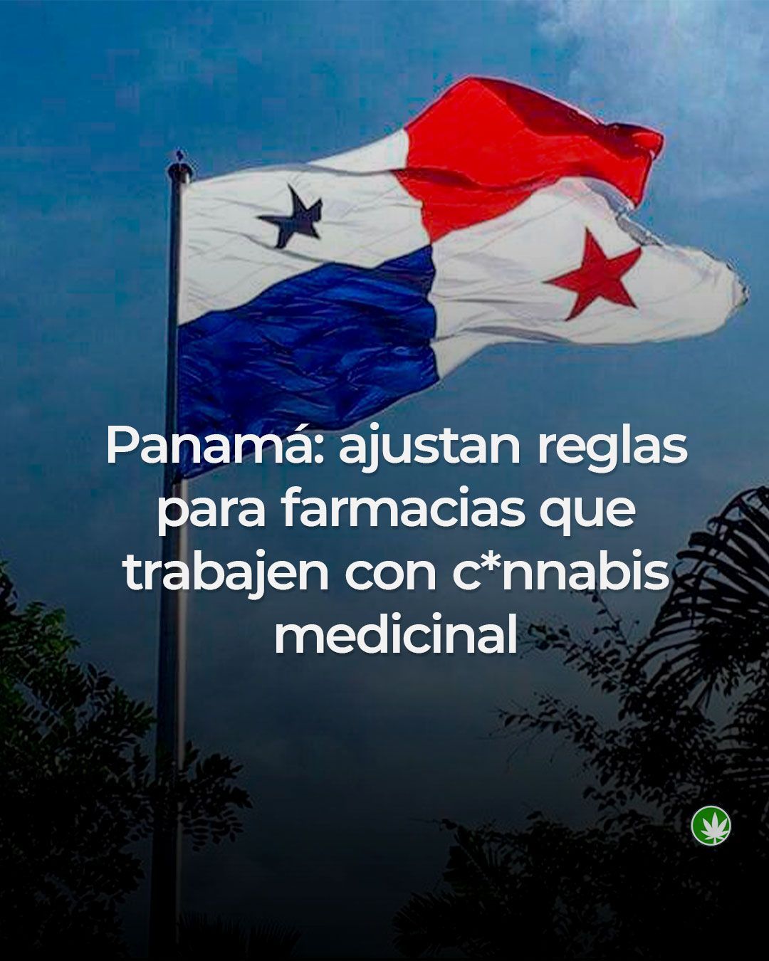 Panamá ajusta las reglas para el cannabis medicinal