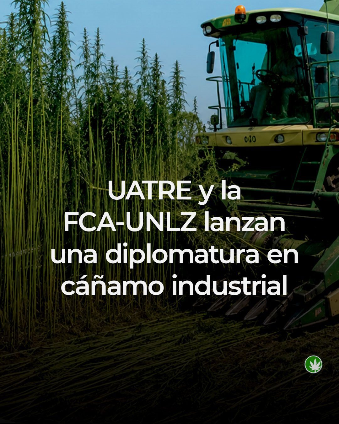 ¡Nueva Diplomatura Universitaria en Cáñamo Industrial!