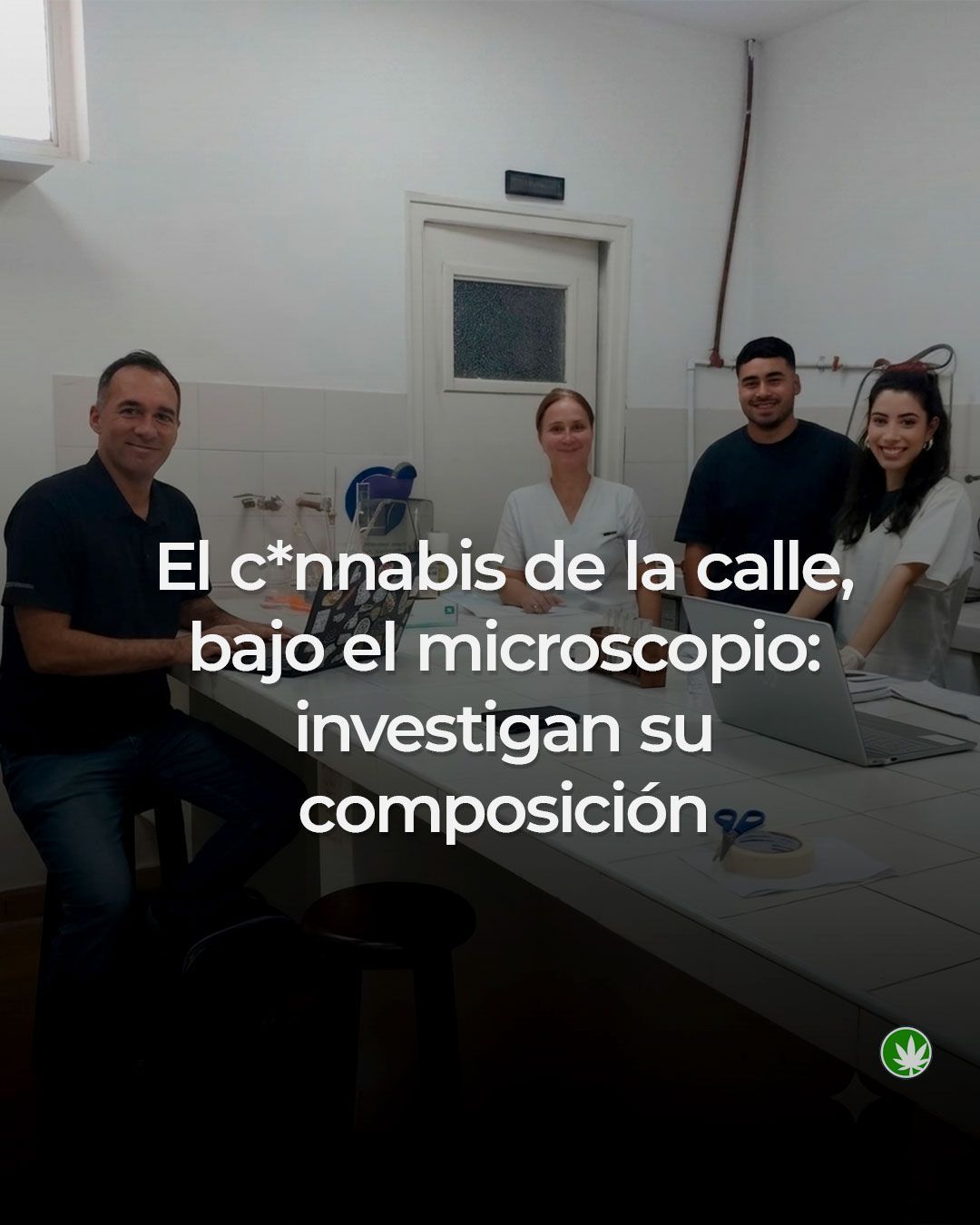 El cannabis de la calle, bajo el microscopio