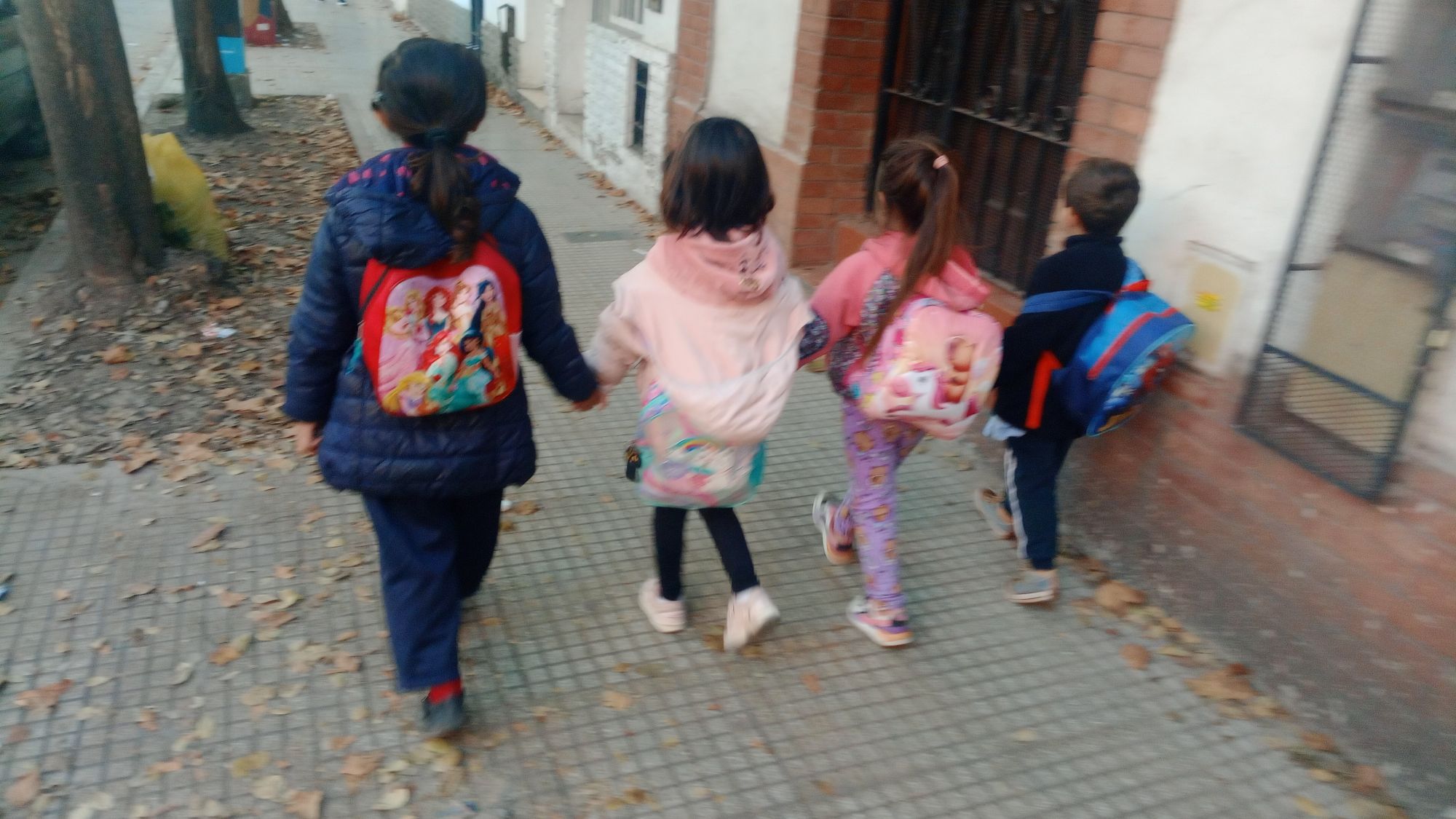 Camino de hojas y mochilas