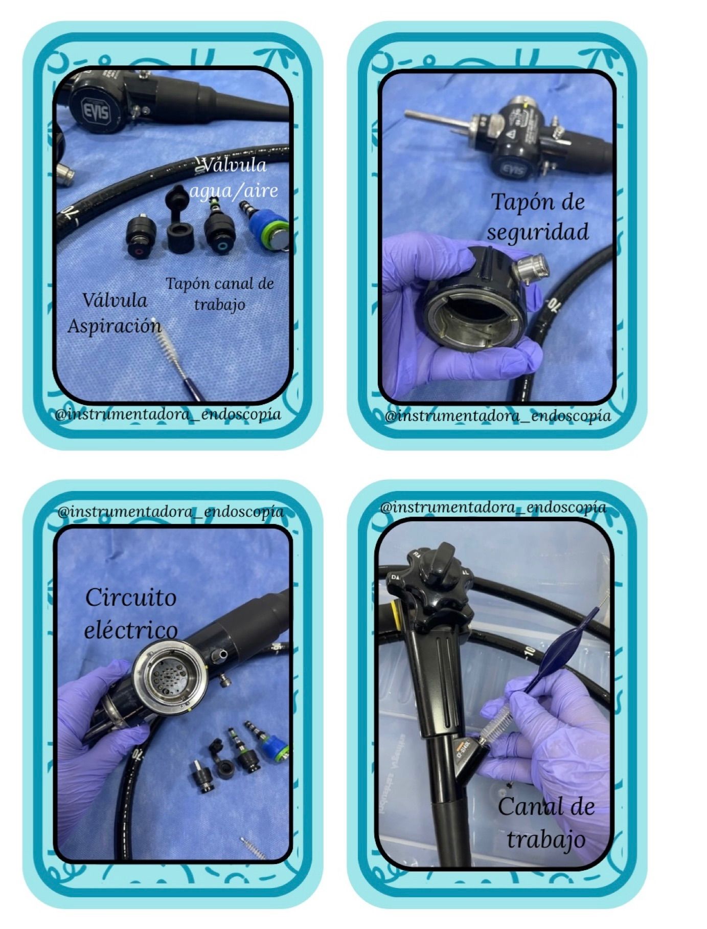 El endoscopio