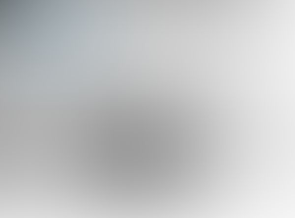 ACCESO a nuestro canal de Telegram: ARTES VISUALES CBA