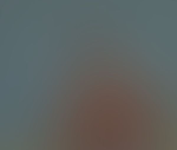 🤳