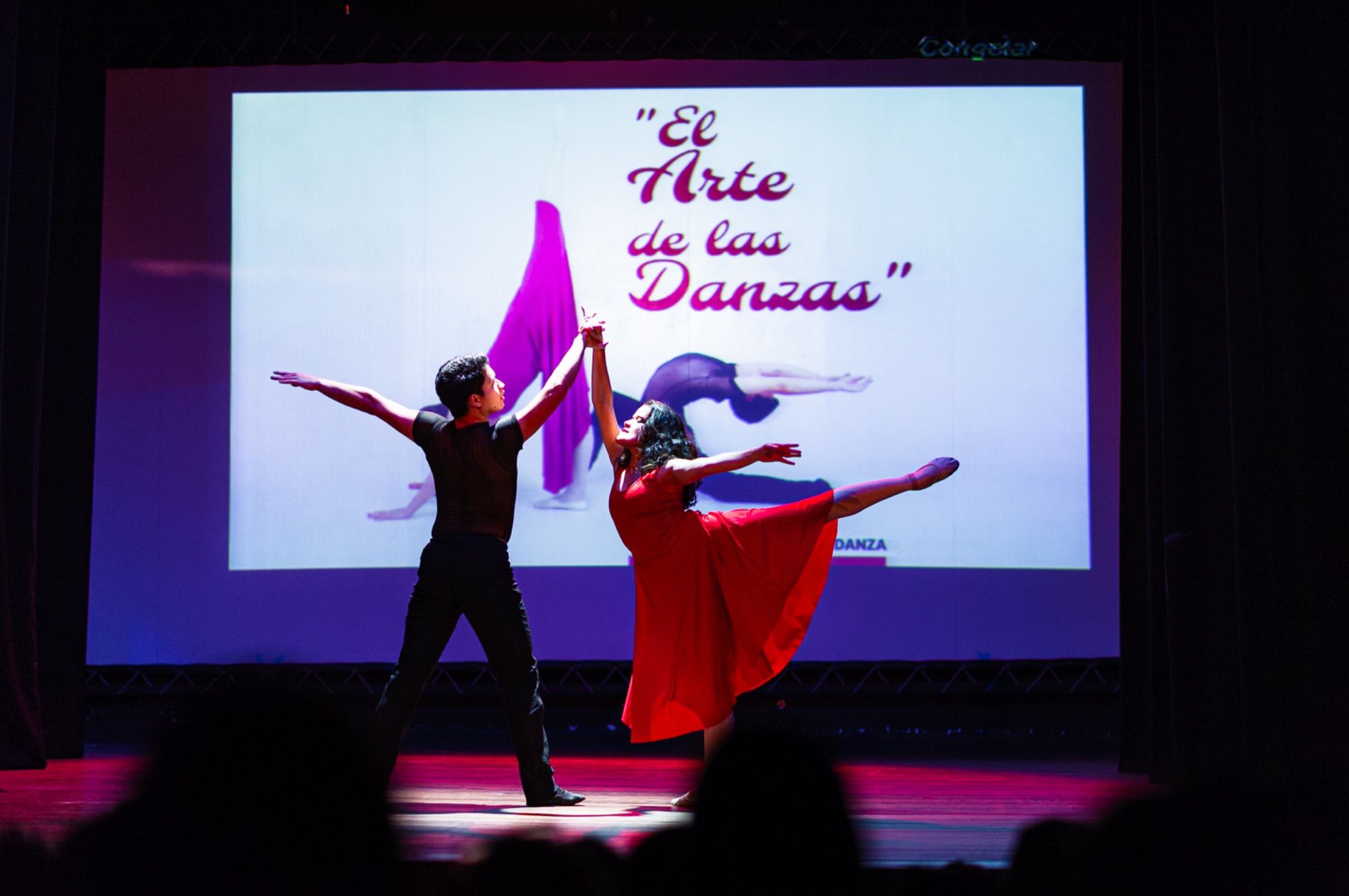Día Internacional de la Danza 29 de abril