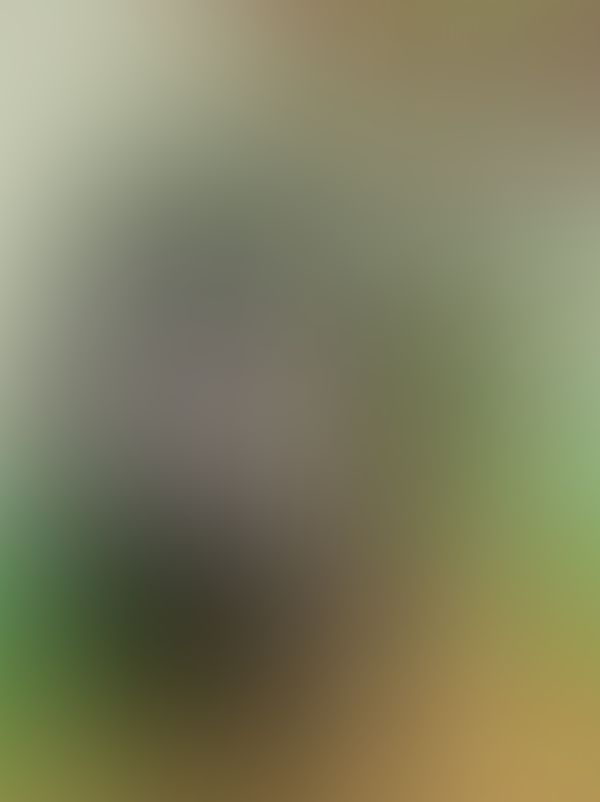 ༺♰༻