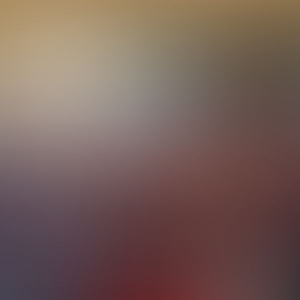 Please atención! Son datos importantes bb 🔥