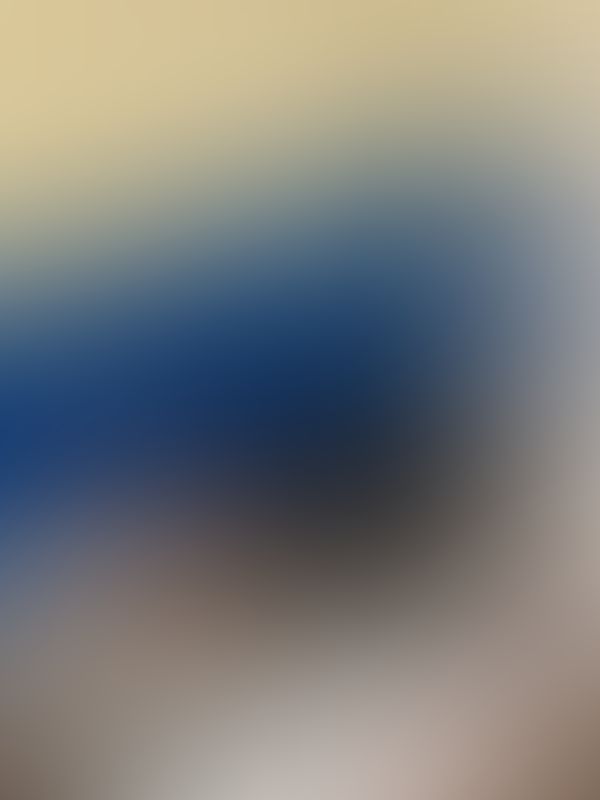 ❄️❄️❄️❄️