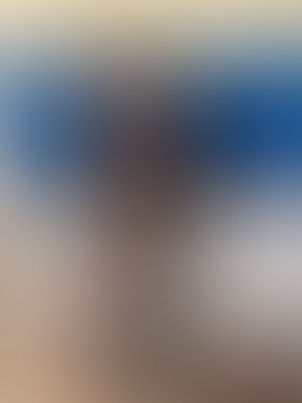 ❄️❄️❄️❄️❄️