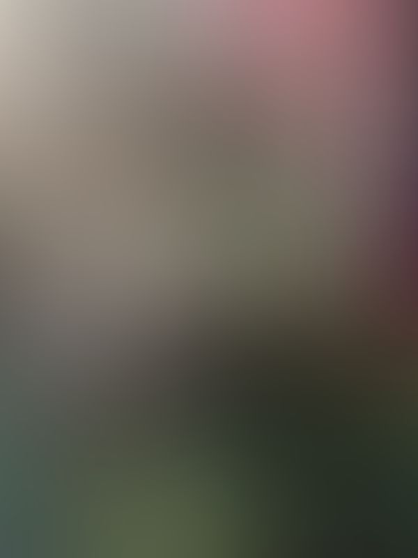 💕💕💕💕💕💕💕💕💕💕