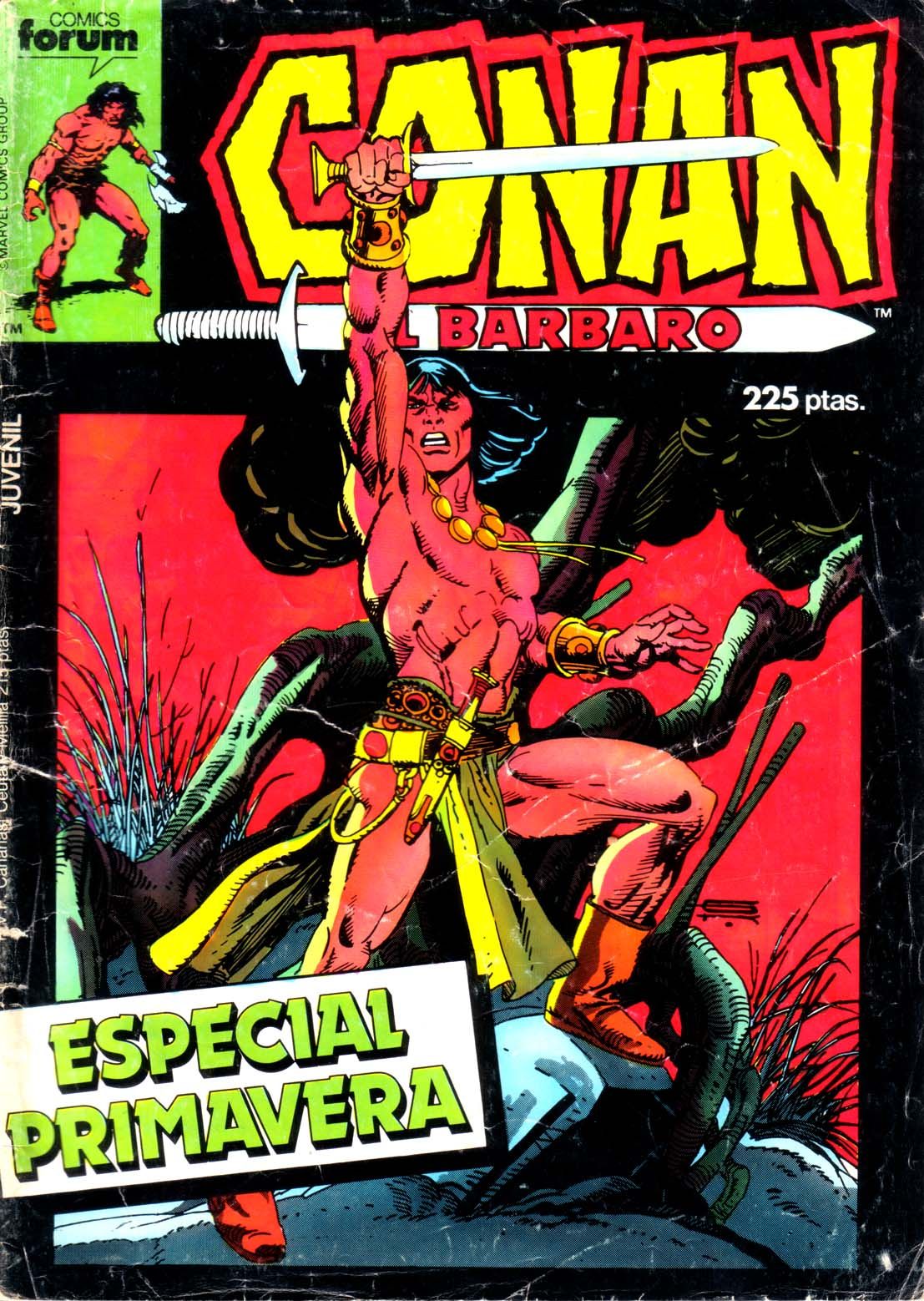 "CONAN, EL BARBARO ESPECIAL 1987"