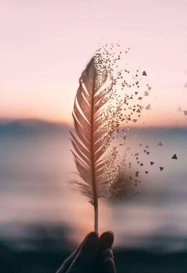 Para Ceci....🌺🌿