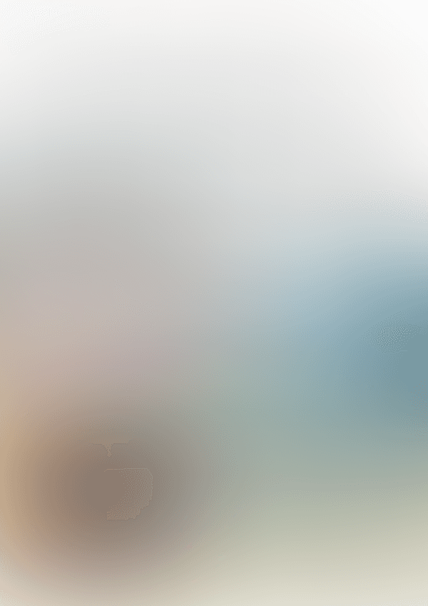 L. van Beethoven - Marcha Turca