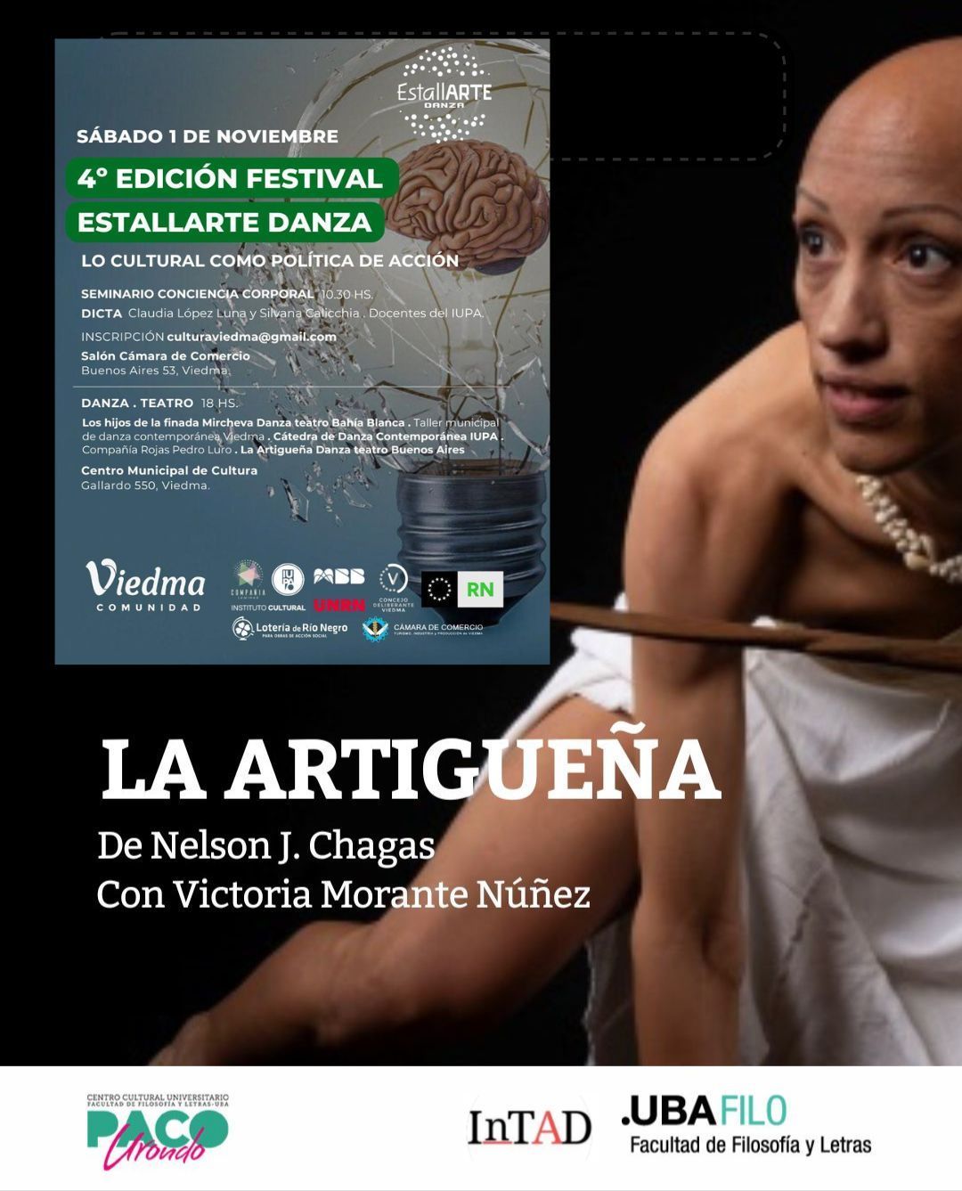 Festival Estallarte, Viedma