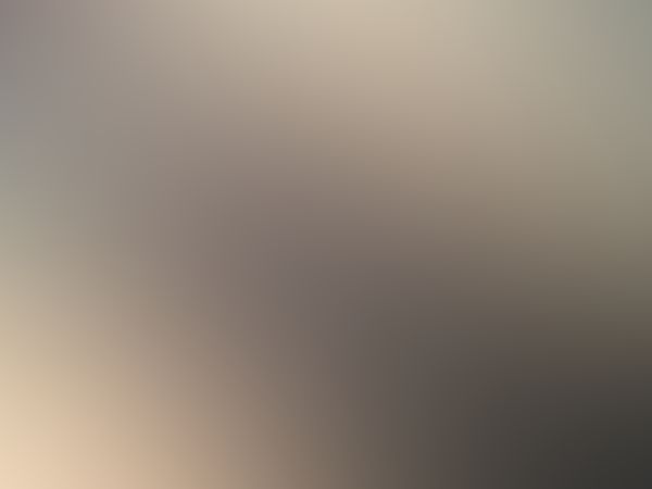 ᴍɪʀᴀ ᴄᴏᴍᴏ ᴍᴇ ᴅᴇᴊᴀʀᴏɴ ʟᴀ ᴄᴏɴᴄʜɪᴛᴀ