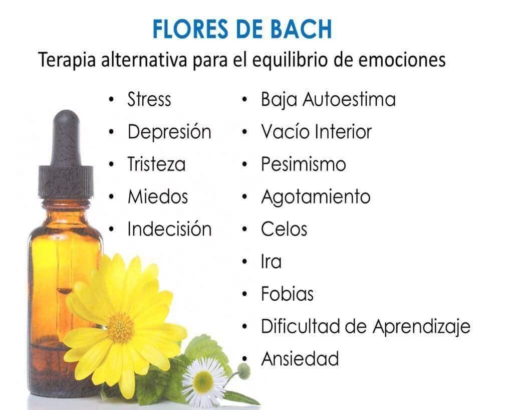 Terapias con Flores de Bach