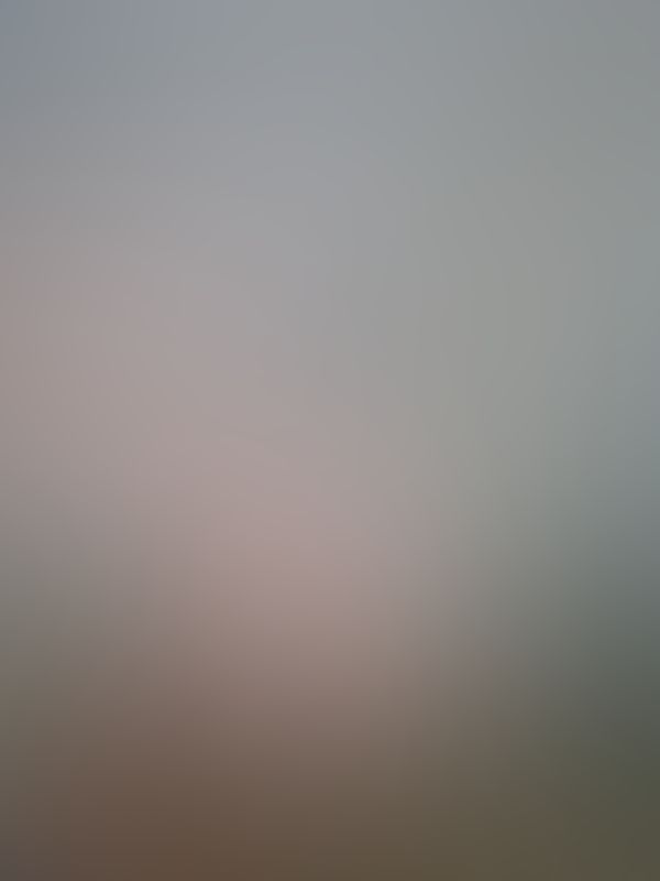 Colores 01