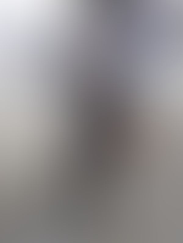 2b