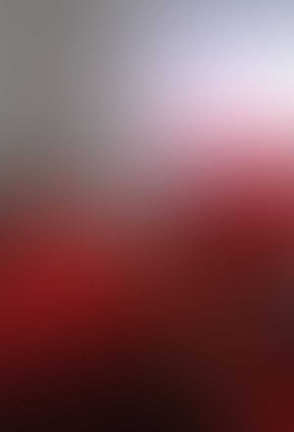 Caperucita en 4 esperando un lobo