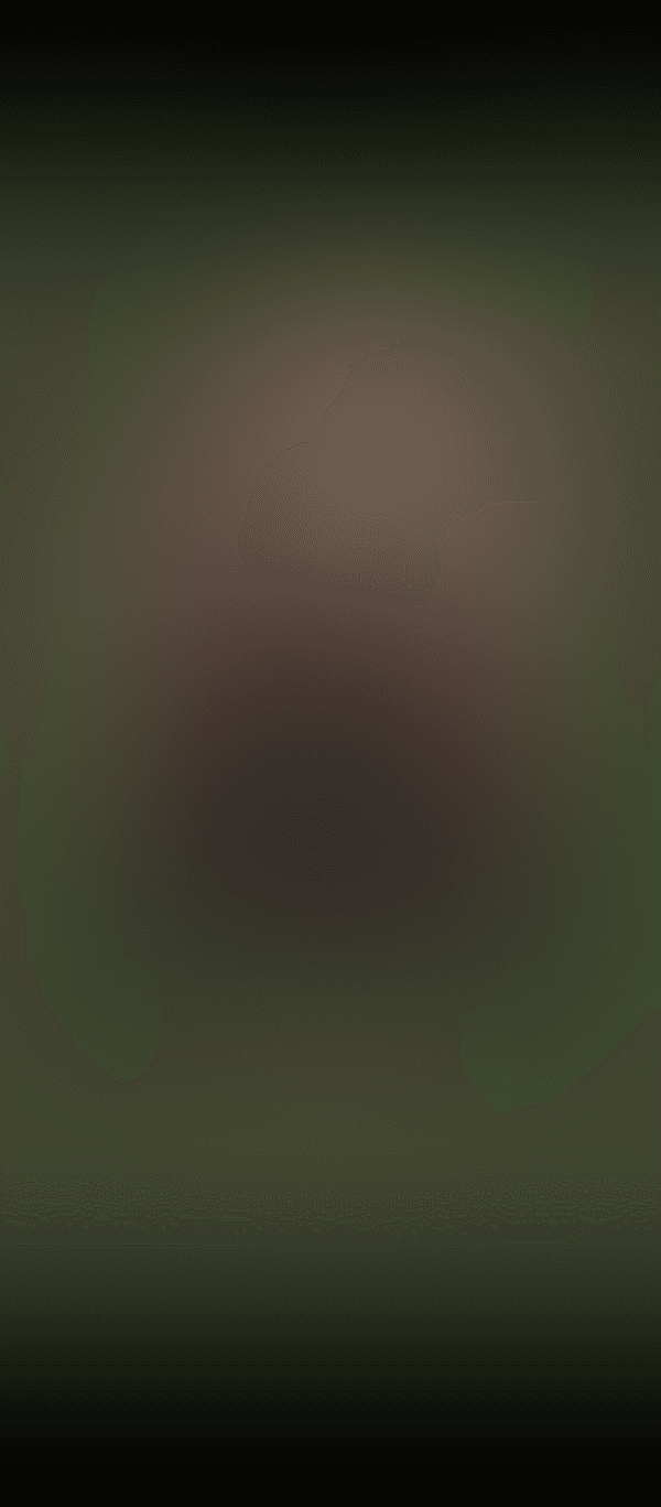 Abierta