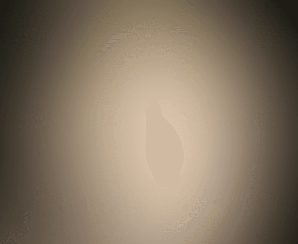 Espuma