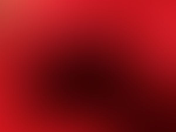 Saco y body de red negro 6