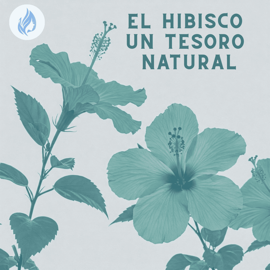 El hibisco: un tesoro natural para la piel y el cabello