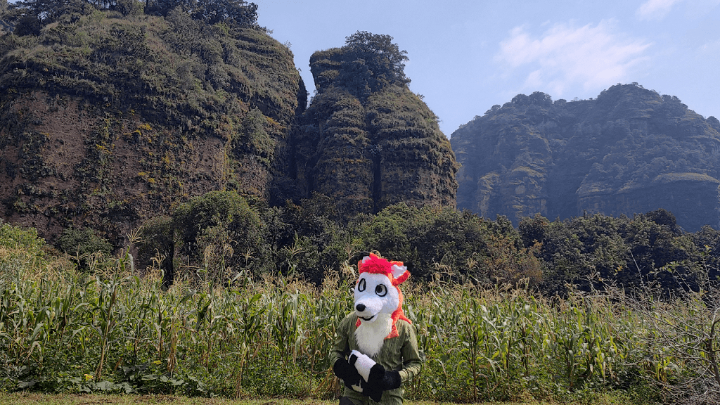 Leo the Traveller fox 2024 - Part 10: Tepoztlán (ENG/ESP)