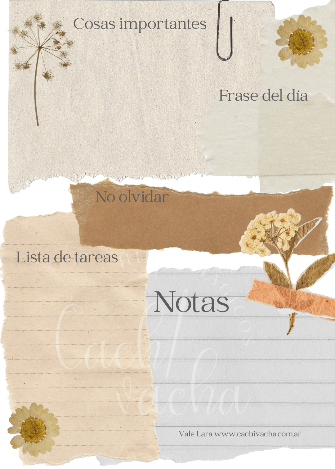 Notas x 7 días!!