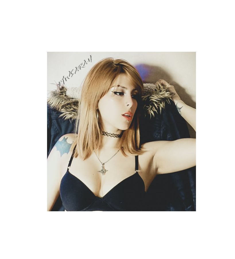 Plan Header