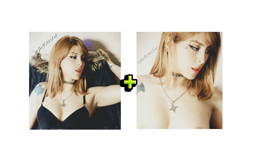 Plan Header