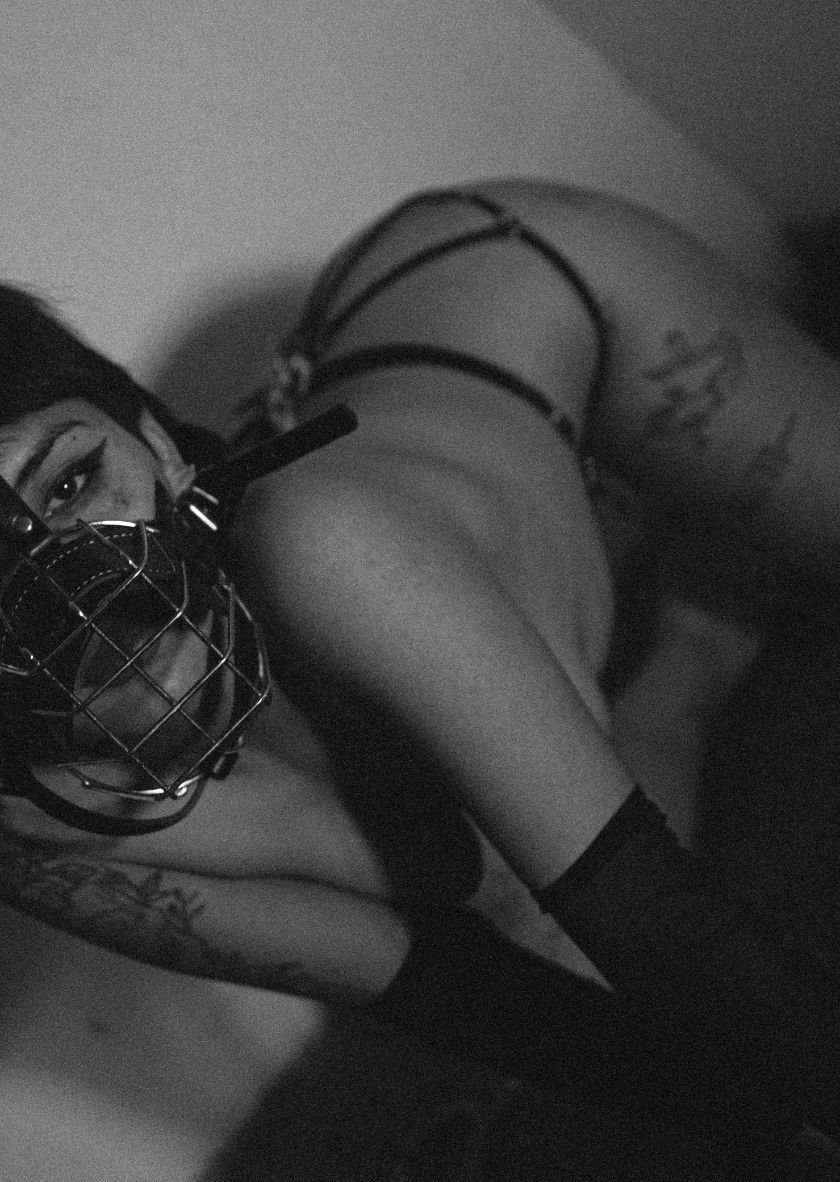 Plan Header