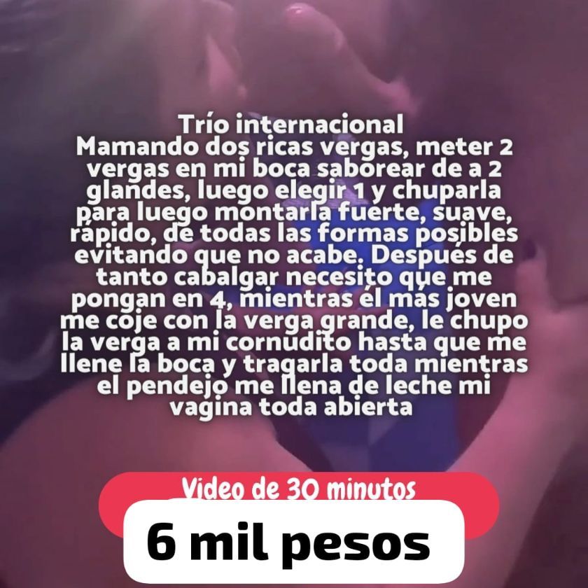 Plan Header