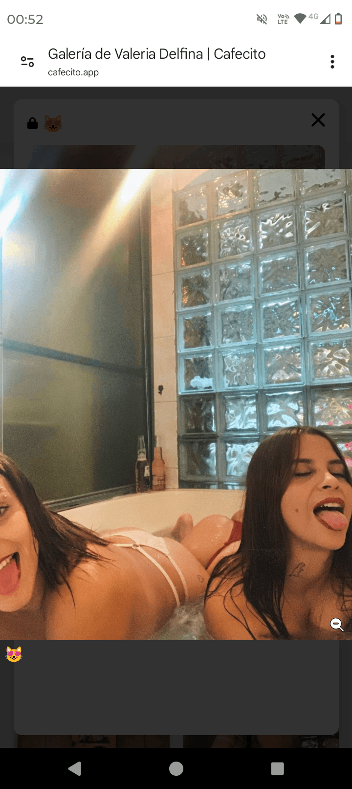 Plan Header