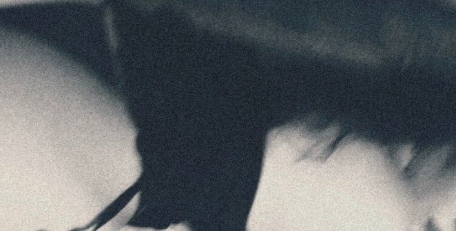 Plan Header