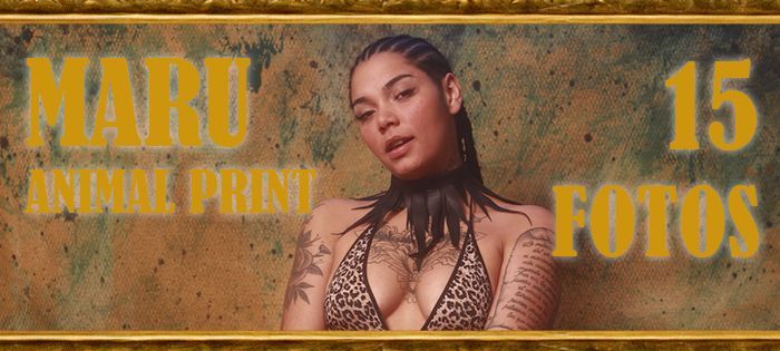 Plan Header