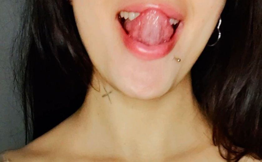 Plan Header