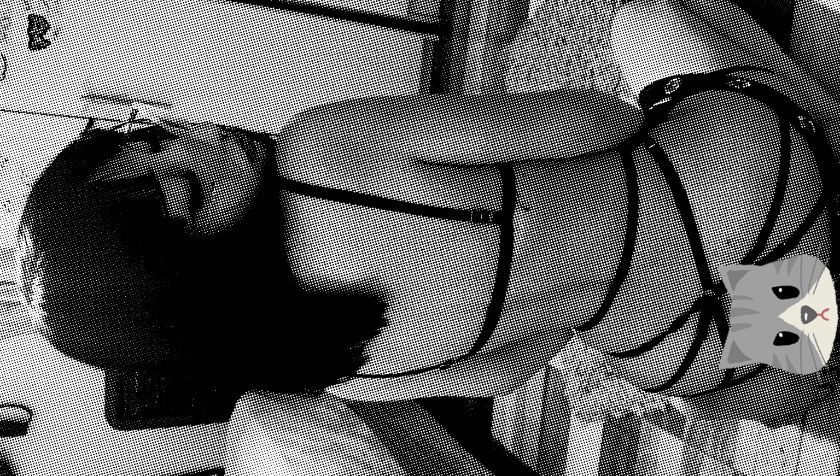 Plan Header