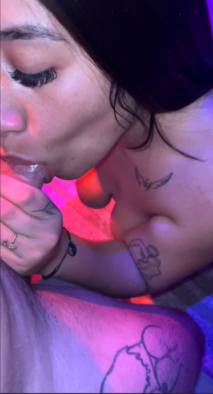 Plan Header