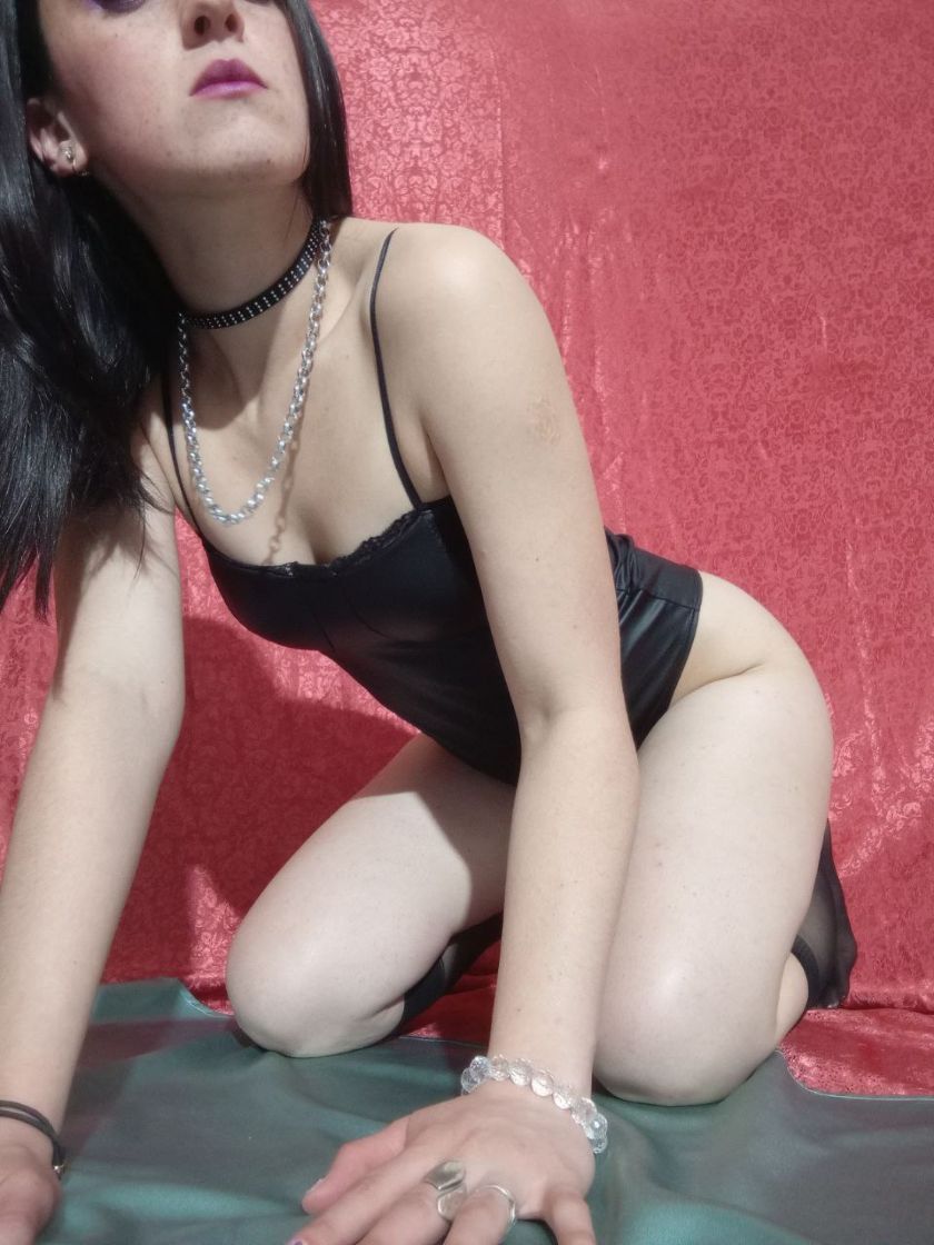 Plan Header