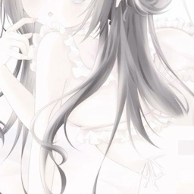 Plan Header