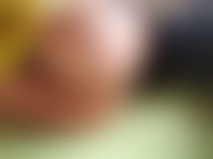 Plan Header
