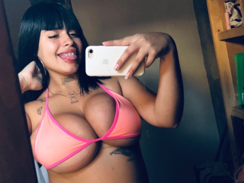 Plan Header