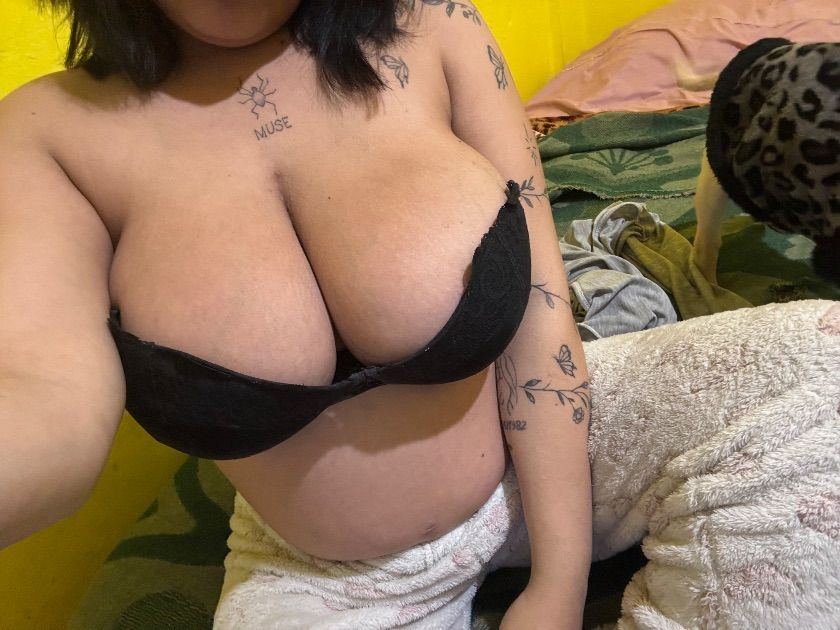 Plan Header