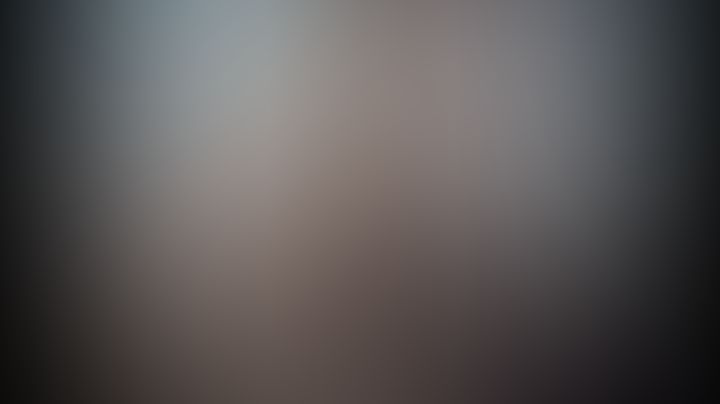 Delicioso video (por si se cae el link)